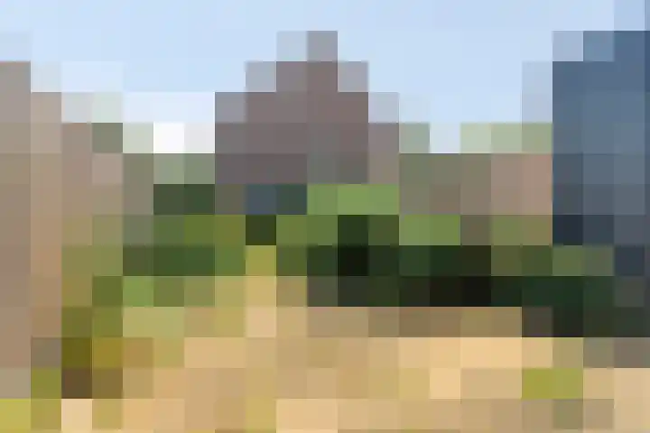 Janswaal 39 Hoogvliet Rotterdam thumbnail 5