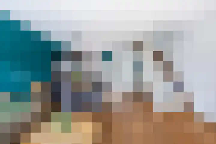 Janswaal 56 Hoogvliet Rotterdam thumbnail 12