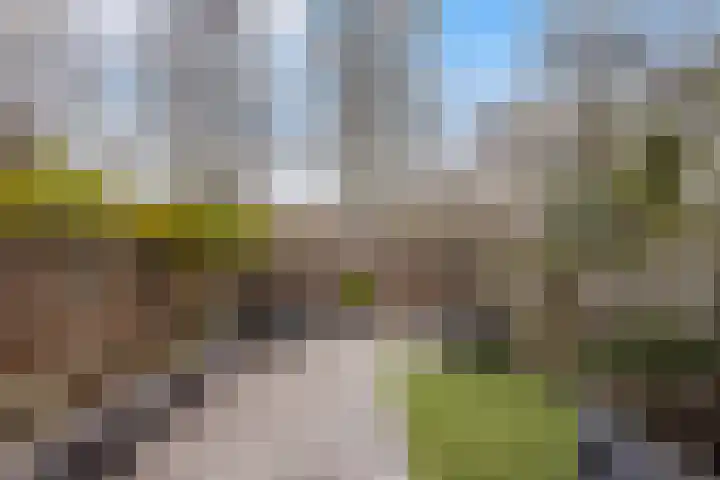 Janswaal 56 Hoogvliet Rotterdam thumbnail 21