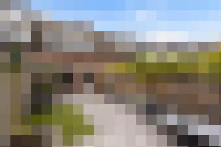 Janswaal 56 Hoogvliet Rotterdam thumbnail 4