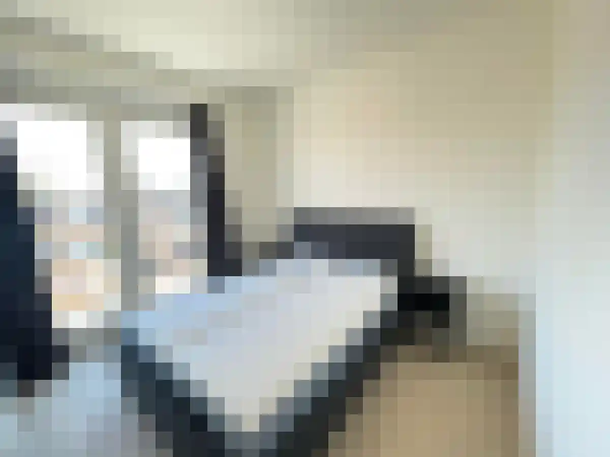 Jansweg 25 Haarlem thumbnail 6