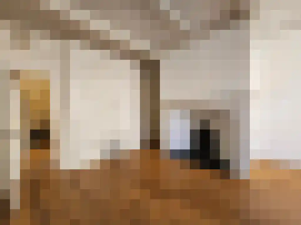 Jansweg 39 0003 Haarlem thumbnail 4