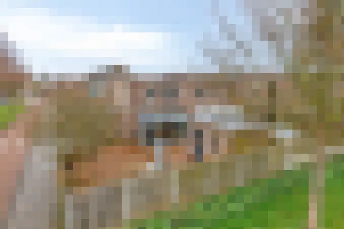 Jantina Cristina Langerhorsttuin 19 Heerhugowaard thumbnail 31