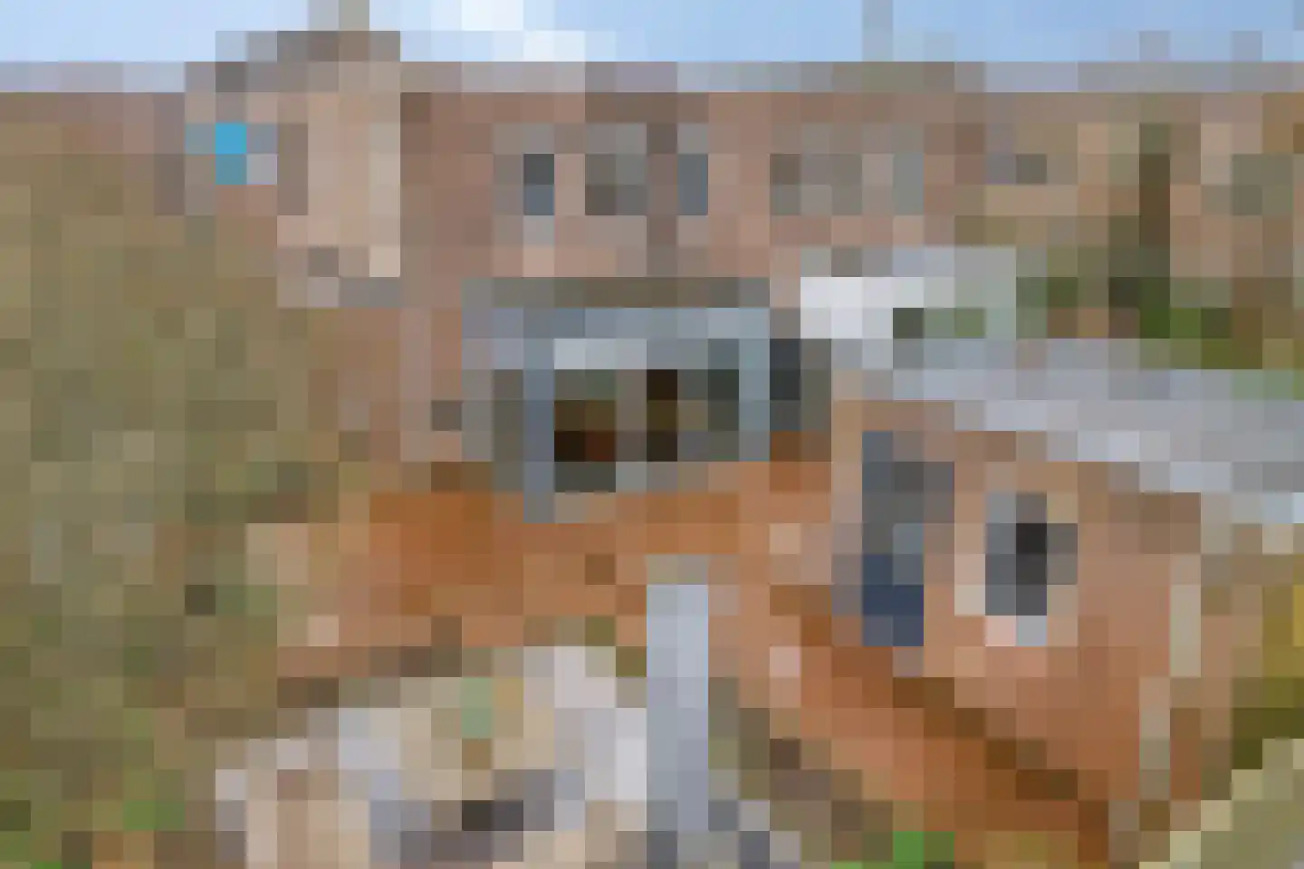 Jantina Cristina Langerhorsttuin 19 Heerhugowaard thumbnail 32