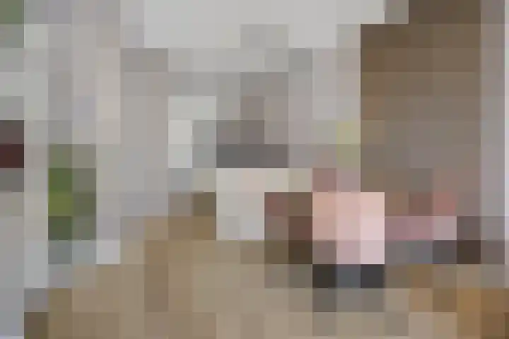 Jantje Boonenstraat 31 Harderwijk thumbnail 12
