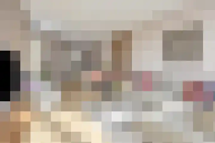 Jantje Boonenstraat 31 Harderwijk thumbnail 9