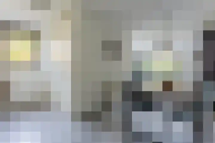 Januaristraat 65 Almere thumbnail 10