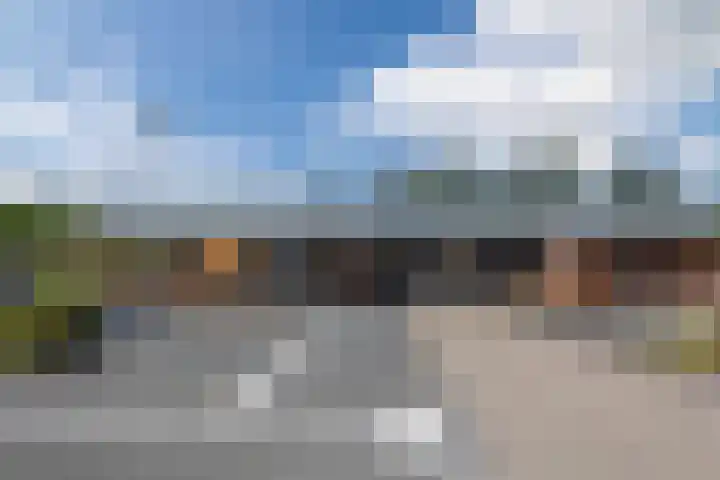 Januaristraat 65 Almere thumbnail 31