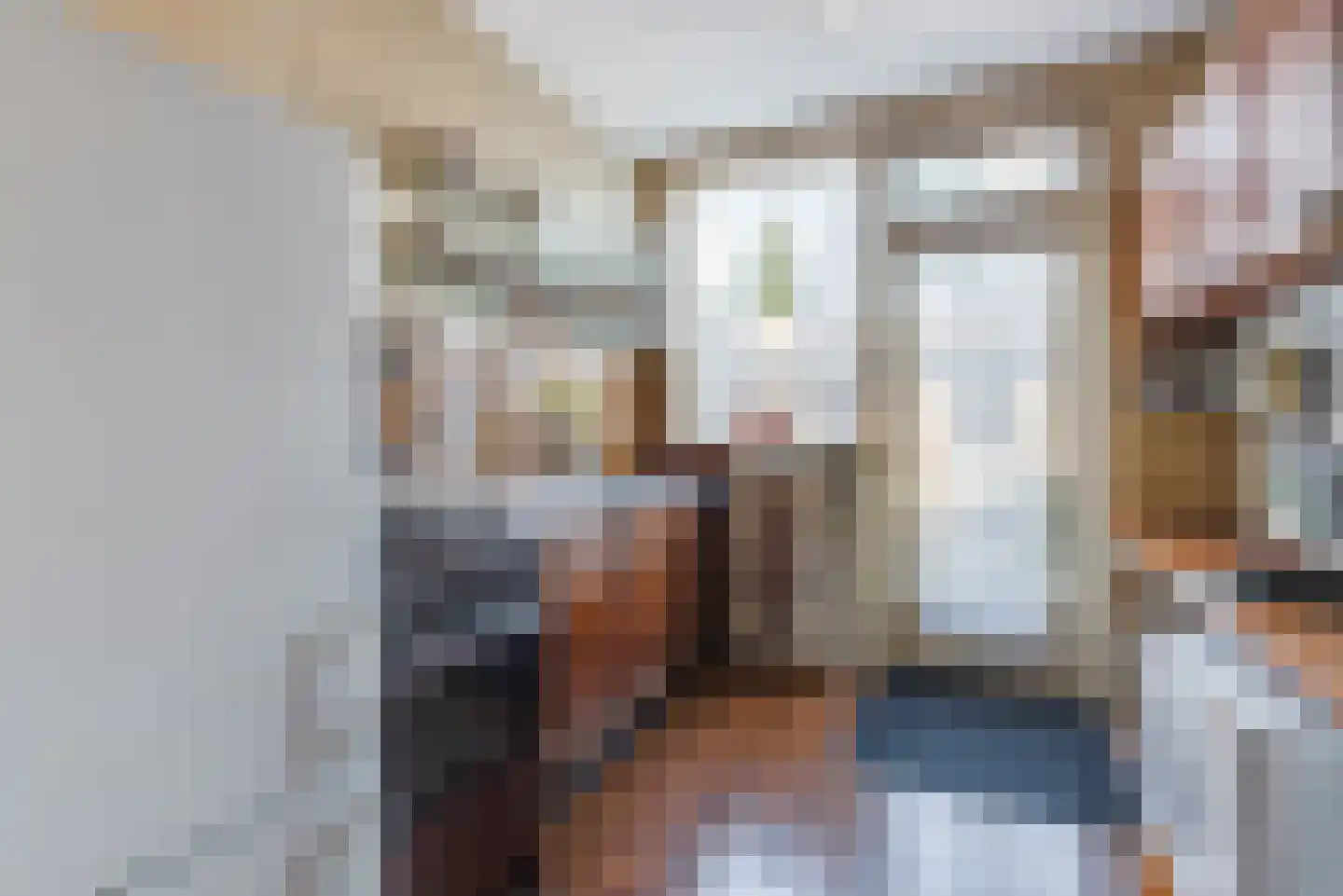 Janus Erasmiusstraat 14 Tiel thumbnail 10