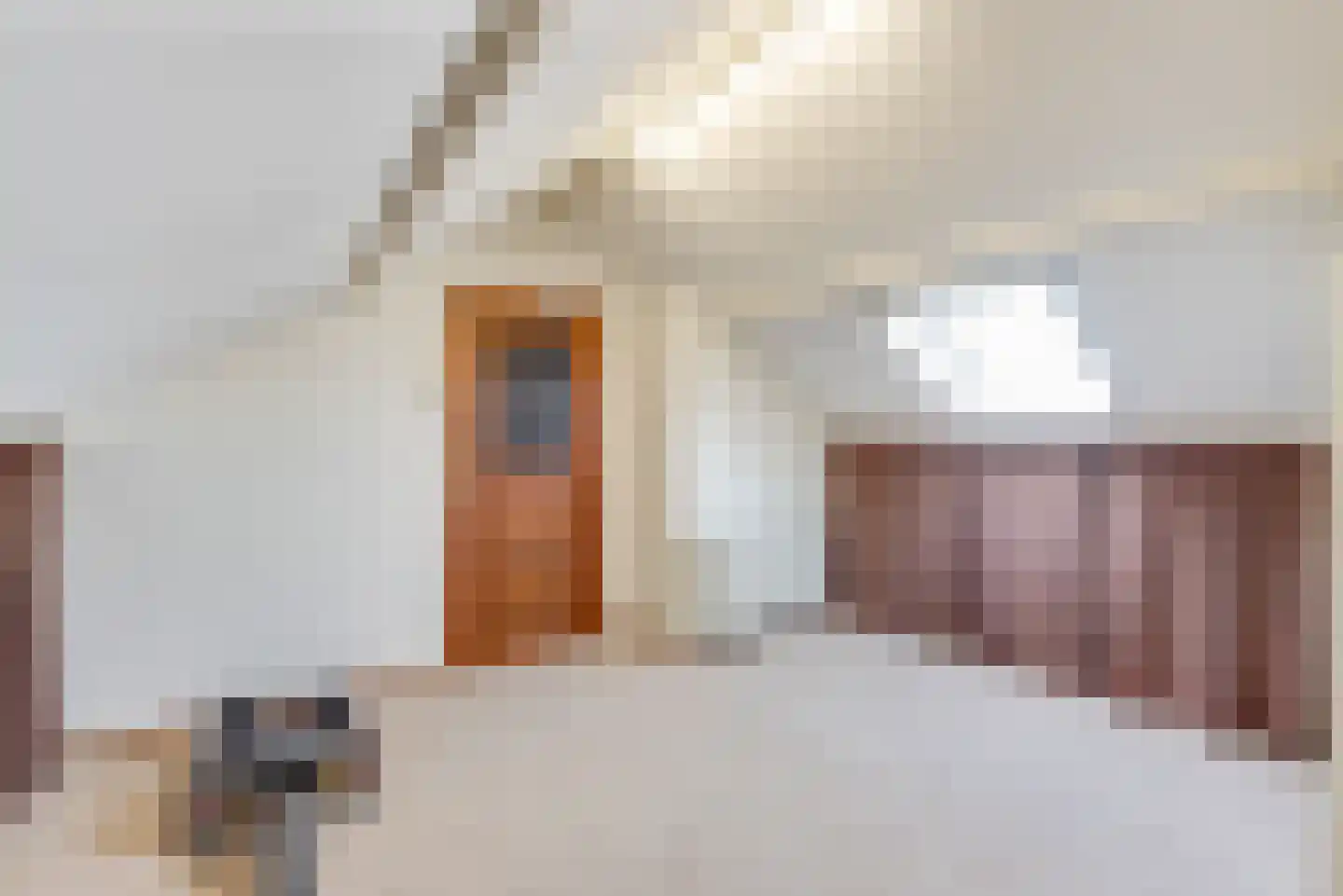 Janus Erasmiusstraat 14 Tiel thumbnail 18