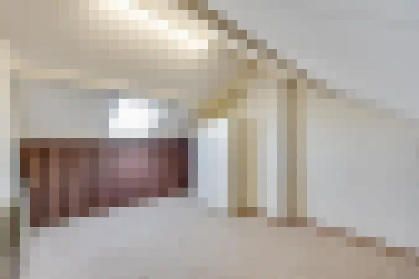 Janus Erasmiusstraat 14 Tiel thumbnail 19