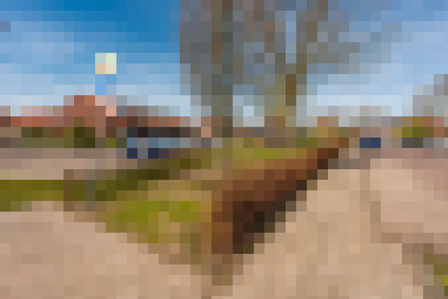 Janus Erasmiusstraat 14 Tiel thumbnail 23