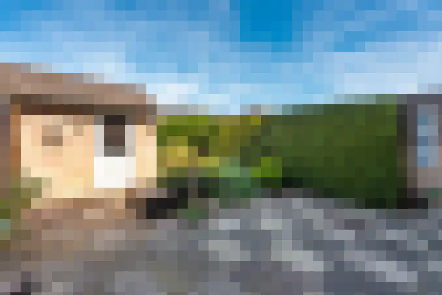 Janus Erasmiusstraat 14 Tiel thumbnail 4
