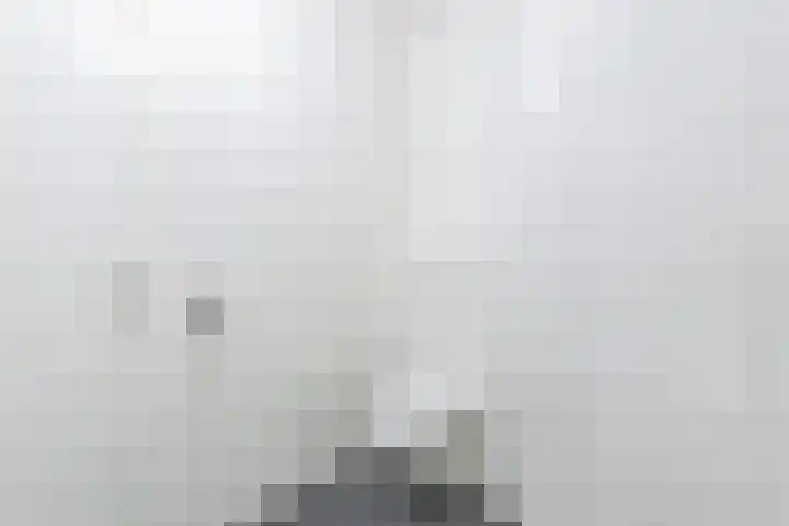 Janus Rooijakkersstraat 15 Moergestel thumbnail 16