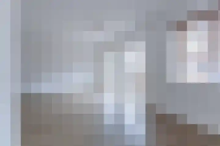 Janus Rooijakkersstraat 15 Moergestel thumbnail 20