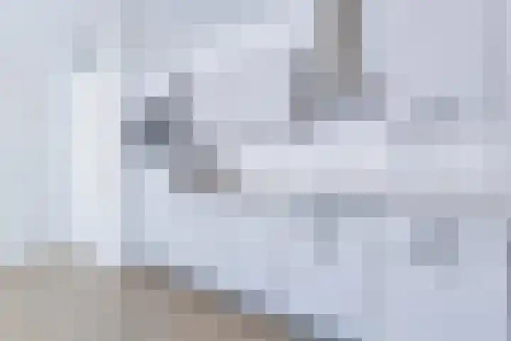 Janus Rooijakkersstraat 15 Moergestel thumbnail 24