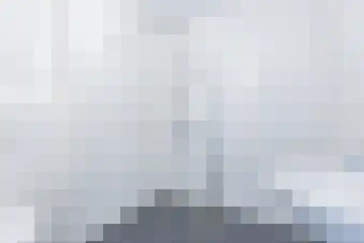 Janus Rooijakkersstraat 15 Moergestel thumbnail 4