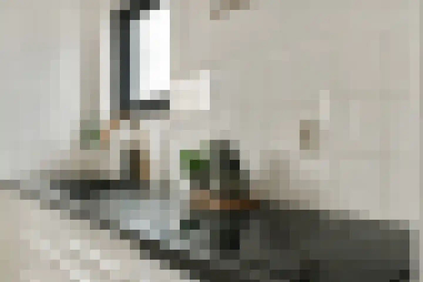 Janusz Korczakstraat 26 Amsterdam thumbnail 11