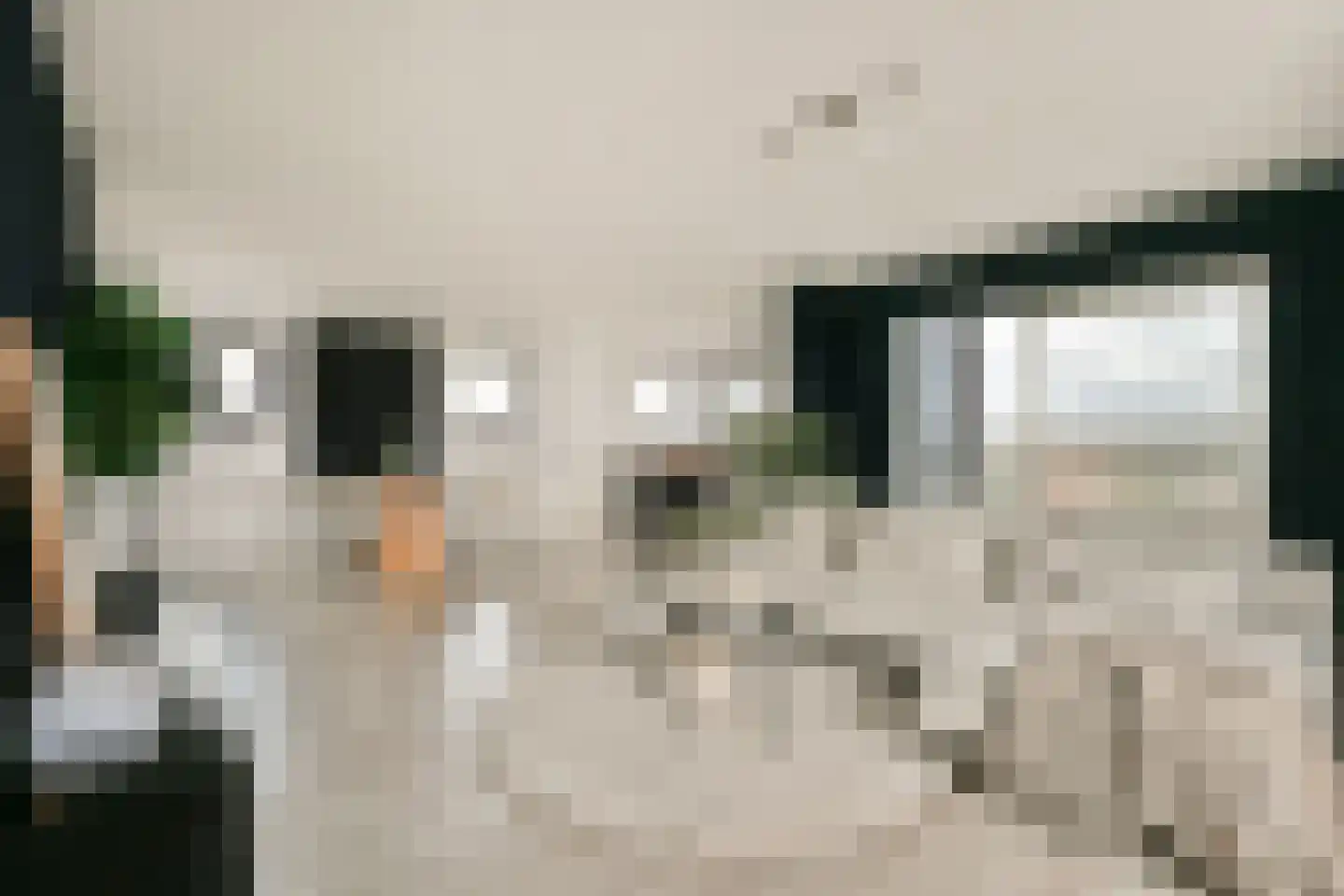 Janusz Korczakstraat 26 Amsterdam thumbnail 4