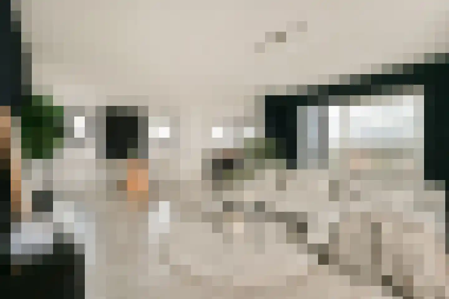 Janusz Korczakstraat 26 Amsterdam thumbnail 4