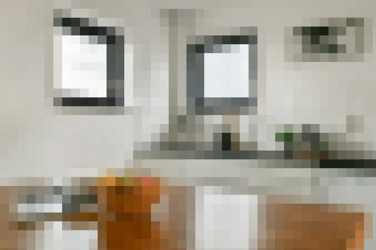 Janusz Korczakstraat 26 Amsterdam thumbnail 9