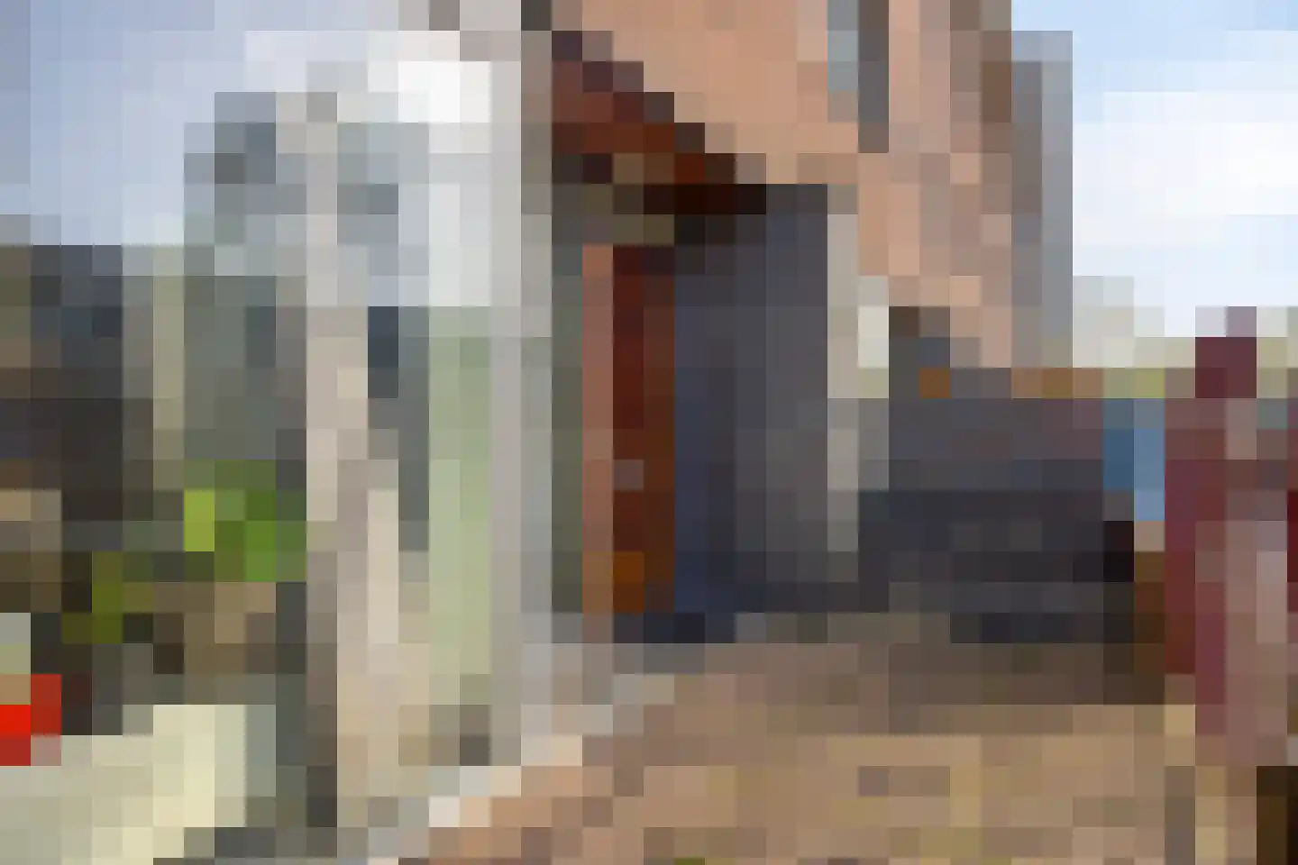 Janusz Korczakstraat 50 Amsterdam thumbnail 8