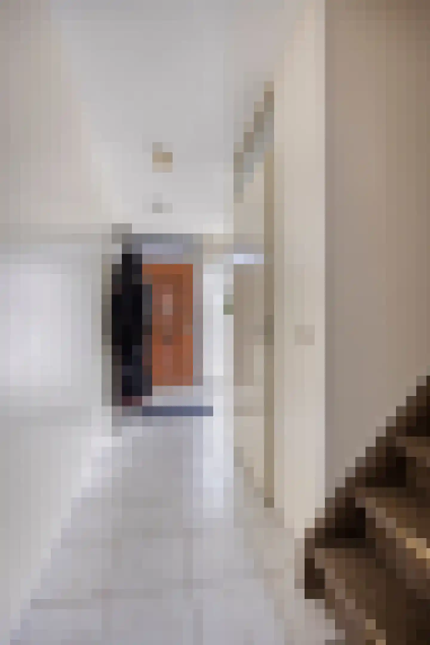 Janusz Korczakstraat 50 Amsterdam thumbnail 9