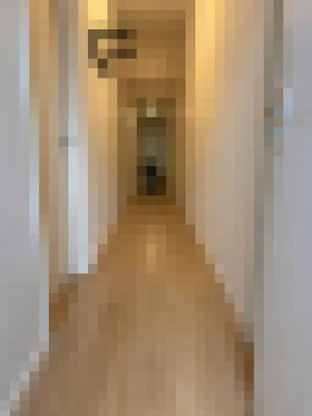 Janvossensteeg 1 Leiden thumbnail 4