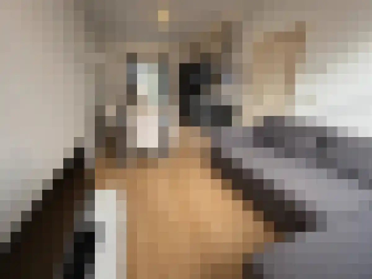 Janvossensteeg 1 Leiden thumbnail 5