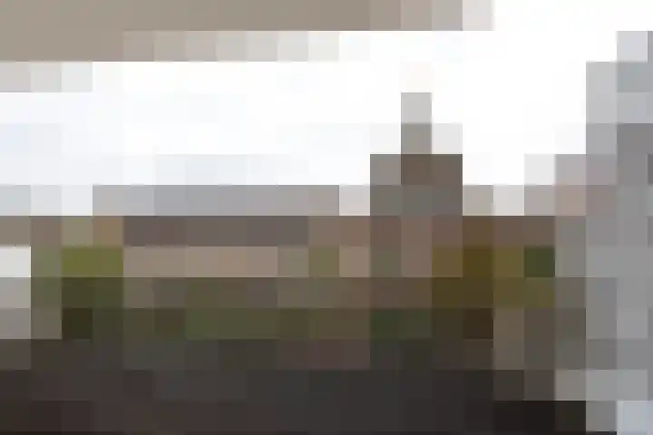 Janvossensteeg 11 A Leiden thumbnail 17