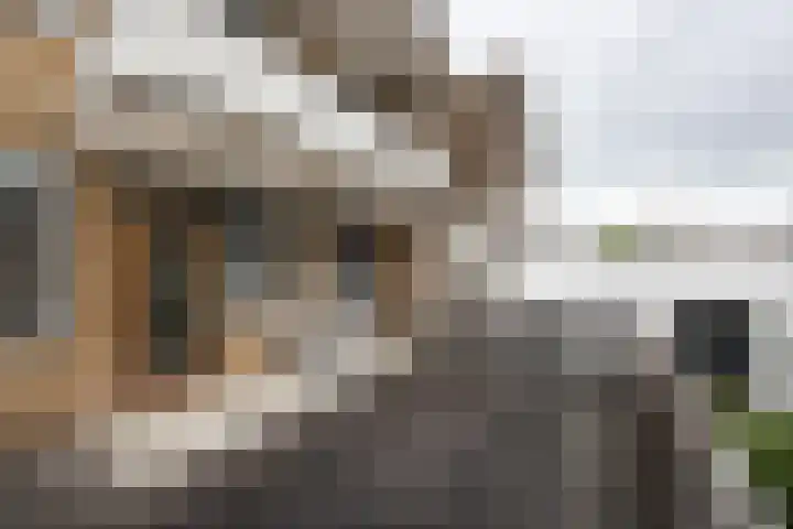 Janvossensteeg 11 A Leiden thumbnail 19