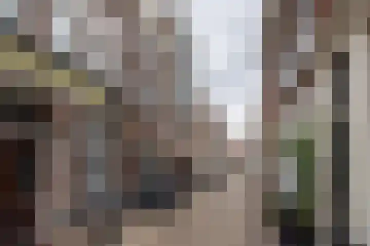 Janvossensteeg 11 A Leiden thumbnail 21