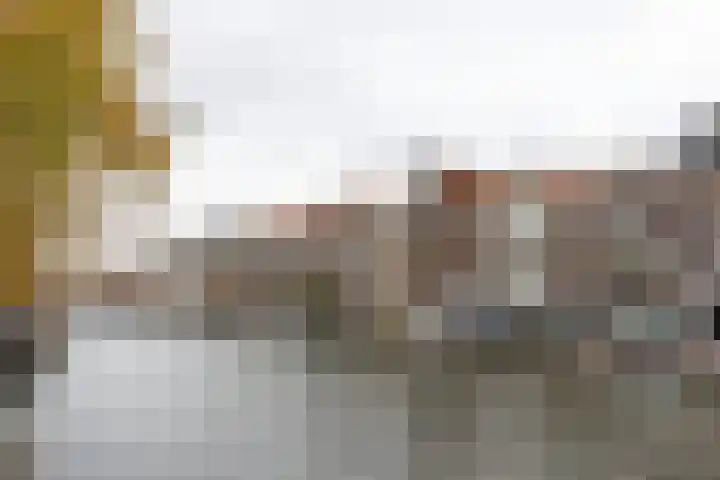 Janvossensteeg 11 A Leiden thumbnail 23