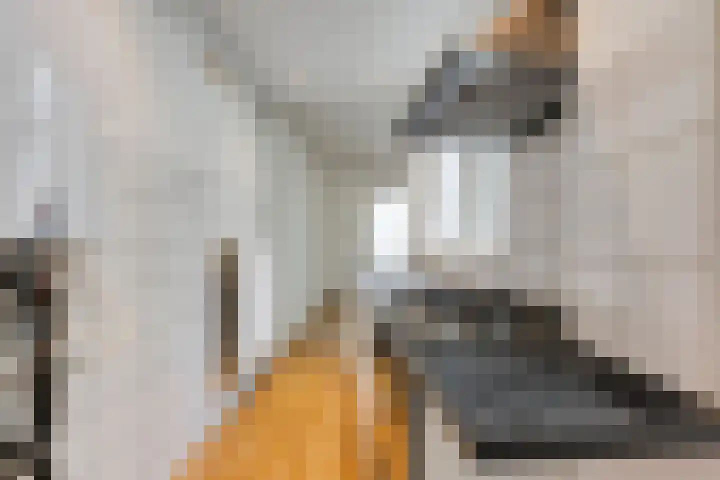 Janvossensteeg 24 Leiden thumbnail 10