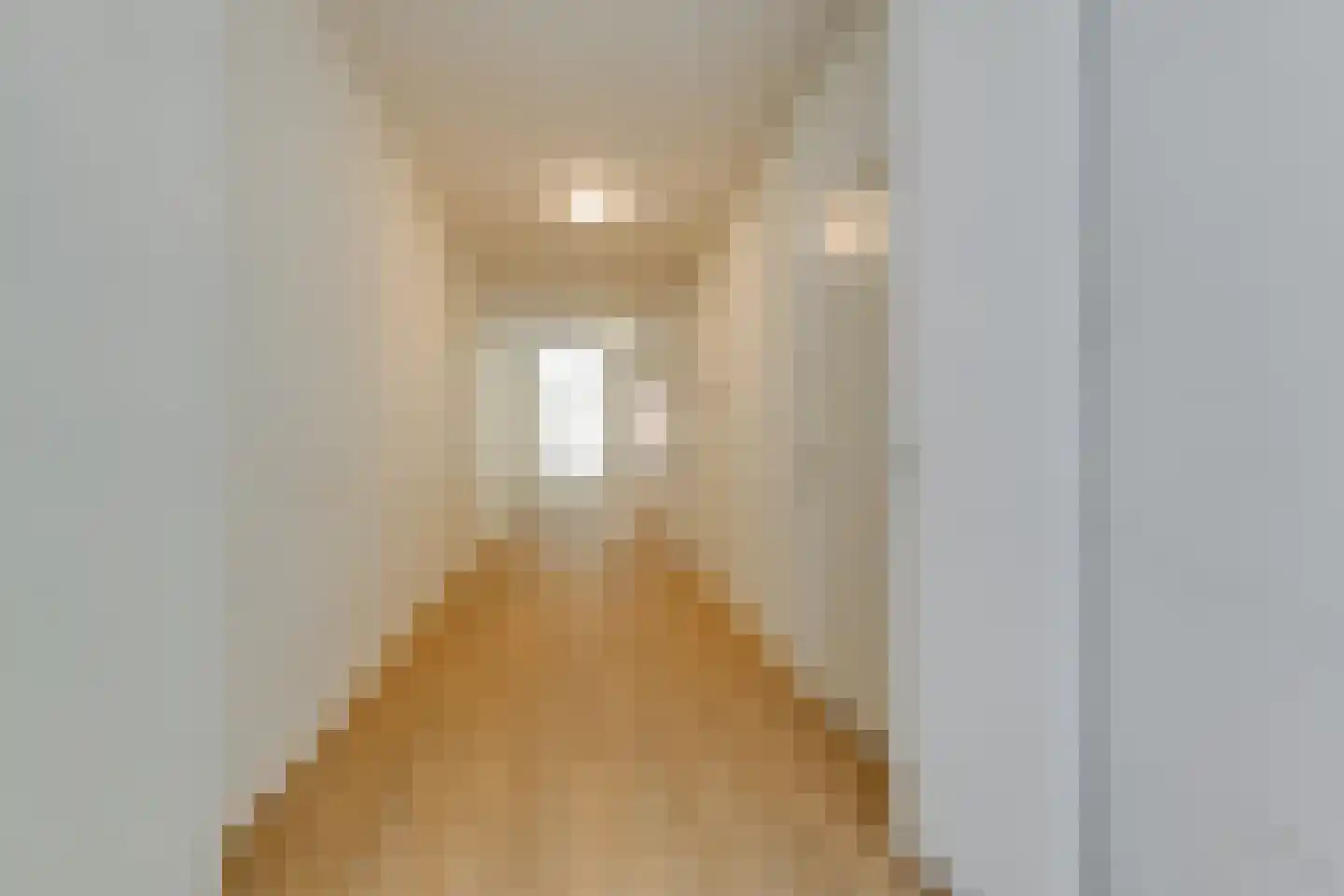 Janvossensteeg 24 Leiden thumbnail 5