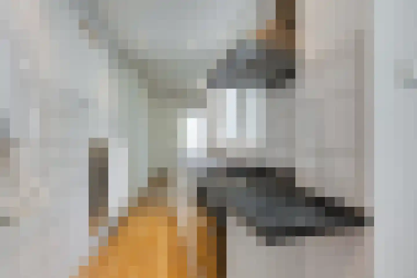 Janvossensteeg 24 Leiden thumbnail 9