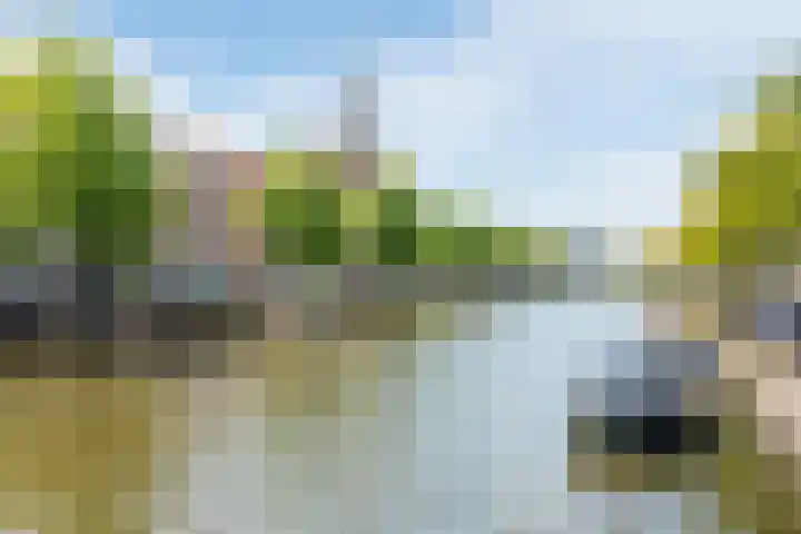 Janvossensteeg 26 C Leiden thumbnail 28