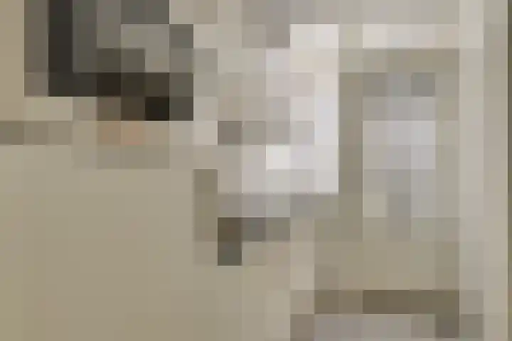 Janvossensteeg 3 A Leiden thumbnail 15