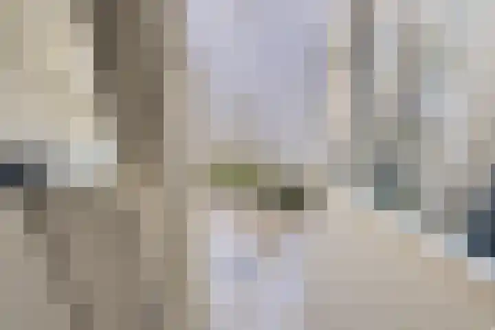 Janvossensteeg 3 A Leiden thumbnail 16