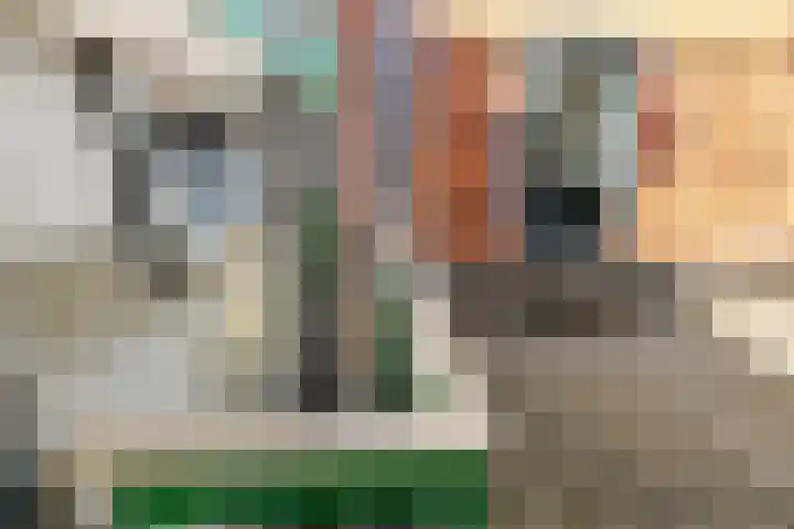 Janvossensteeg 3 A Leiden thumbnail 28