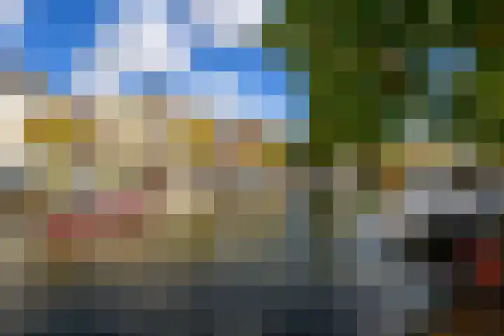 Janvossensteeg 3 A Leiden thumbnail 30
