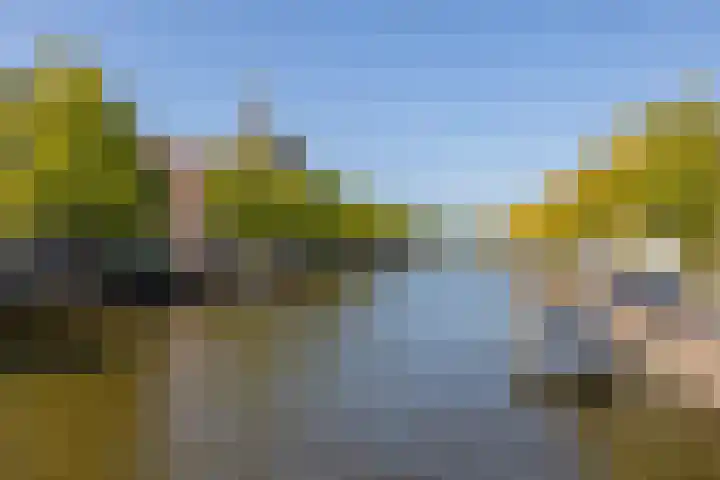 Janvossensteeg 43 Leiden thumbnail 5