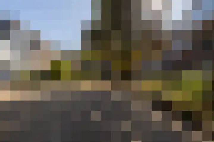 Janvossensteeg 43 Leiden thumbnail 56
