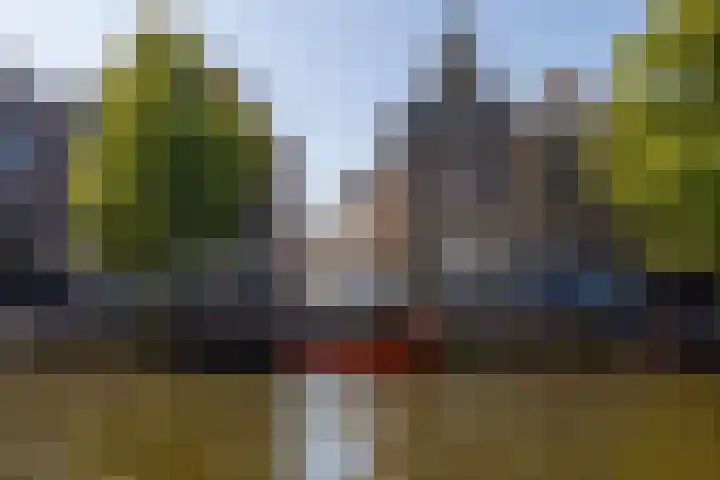 Janvossensteeg 43 Leiden thumbnail 6