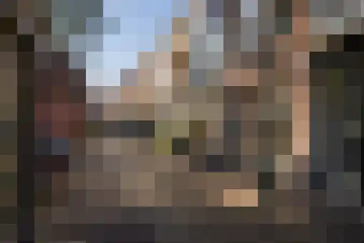 Janvossensteeg 43 Leiden thumbnail 7