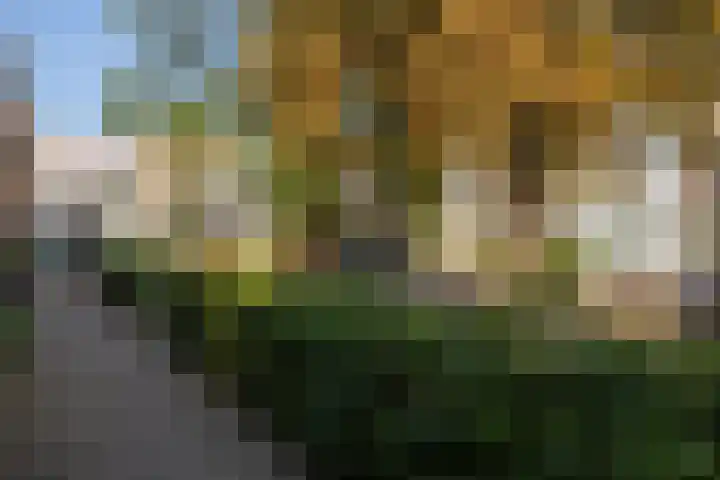 Janvossensteeg 43 Leiden thumbnail 8