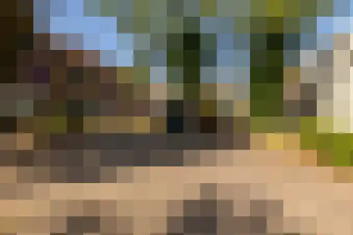 Janvossensteeg 43 Leiden thumbnail 9