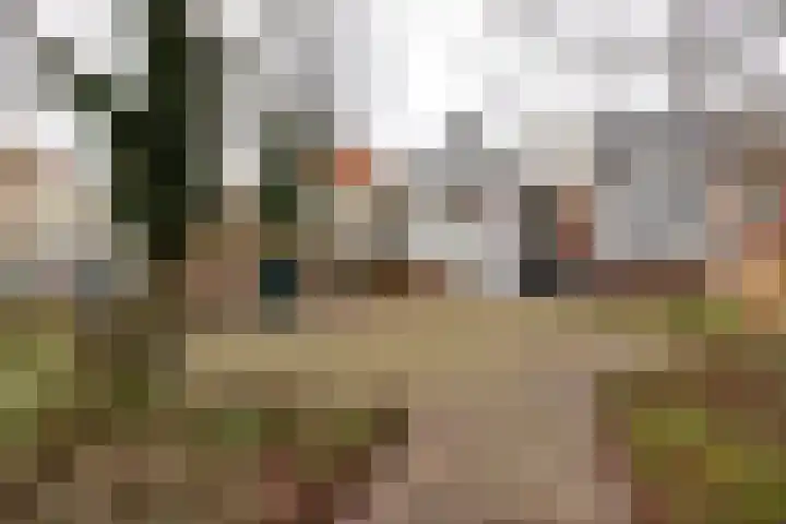 Janvossensteeg 45 B Leiden thumbnail 17