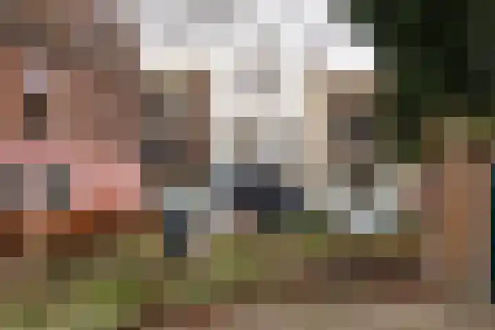 Janvossensteeg 45 B Leiden thumbnail 18