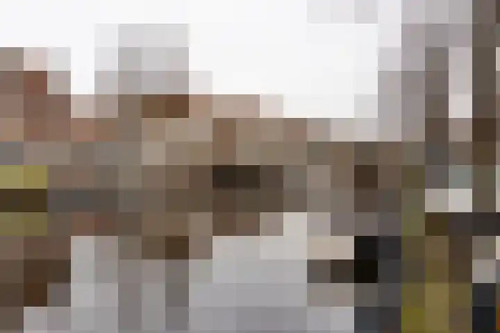 Janvossensteeg 45 B Leiden thumbnail 20
